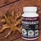 ÖRDÖGCSÁKLYA C-VITAMINNAL 60 db-os kapszula