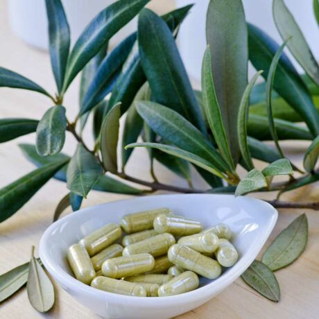 OLAJFA LEVÉL 60 db-os kapszula