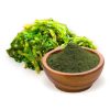 BioMenü Bio Spirulina algapor – 250g