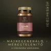 Myrobalan LivR Májtisztító- és Regeneráló kapszula gyógynövényekből 60 db