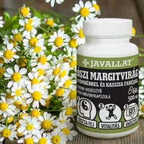   ŐSZI MARGITVIRÁG GYÖMBÉRREL ÉS KASSZIA FAHÉJJAL 60db-os kapszula