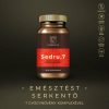 Myrobalan Sedru.7 Emésztést serkentő kapszula 60 db