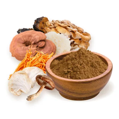 BioMenü BIO 7-GOMBA keverék por 100 g