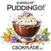 PuddinGo!® Csokoládé ízű instant pudingpor 300 g 