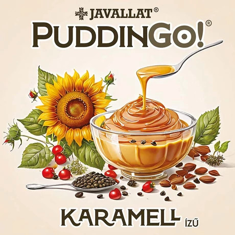 PuddinGo!® Karamell ízű instant pudingpor 300 g 