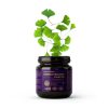 Pasztamánia GinkoBiloba paszta – 240ml