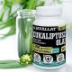 Javallat® Forte Eukaliptusz olaj 60 db 